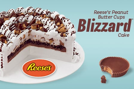 Dairy Queen Store Promo